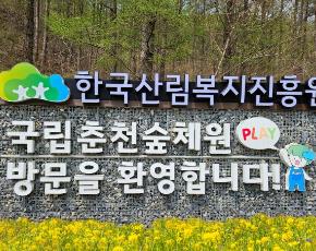 슬라이드이미지