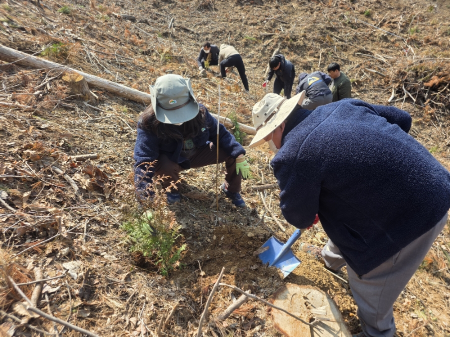 붙임. 제81회 나주사랑 나무심기 식목행사 참여(국립나주숲체원) 6.jpg