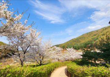 (26년 영주) 숲활동(1시간)