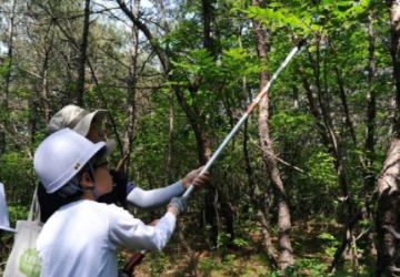 [인증] 나무의사 되기