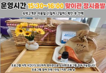 [키트형]힐링마사지키트 프로그램