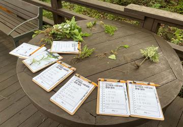 [인증] 슬기로운 식물생활