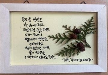 시테라피