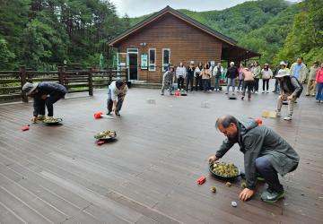 황금찾는 숲여행(1시간)